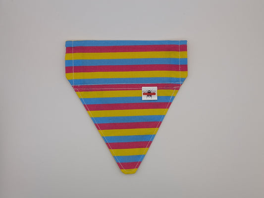 Pansexual Flag Slip On Bandana