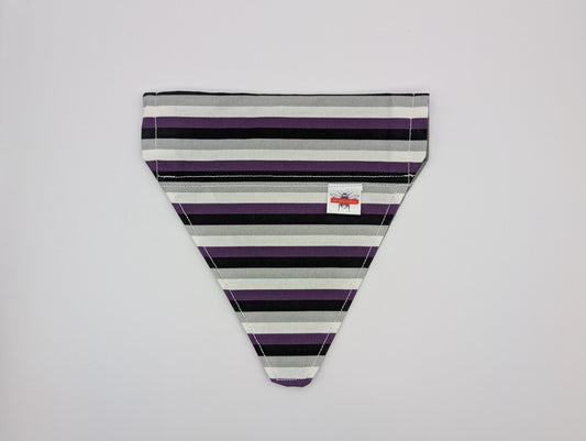 Asexual Flag Slip On Bandana
