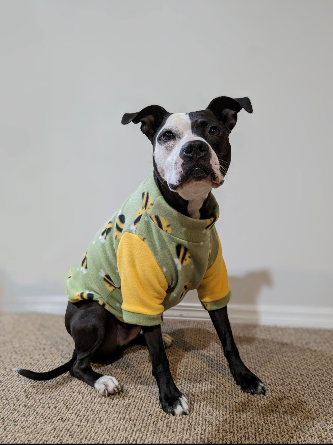 Blushing Bee Pet Sweater