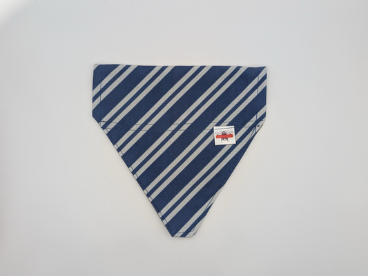 Raven House Slip On Bandana