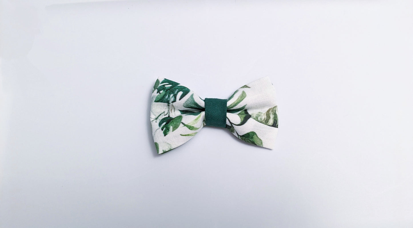 Monstera Bowtie