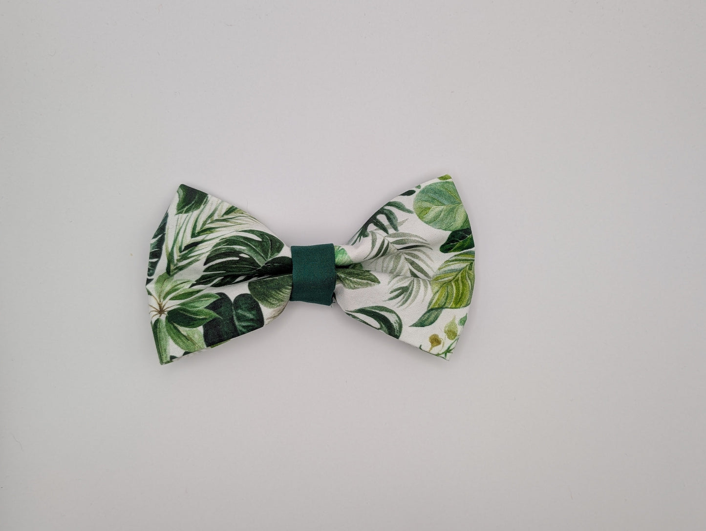 Monstera Bowtie