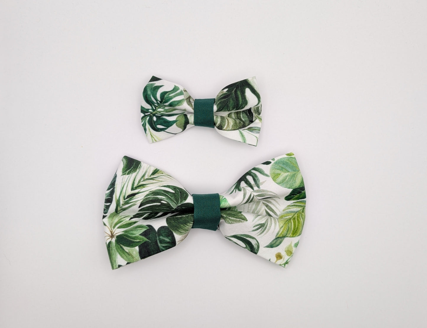 Monstera Bowtie