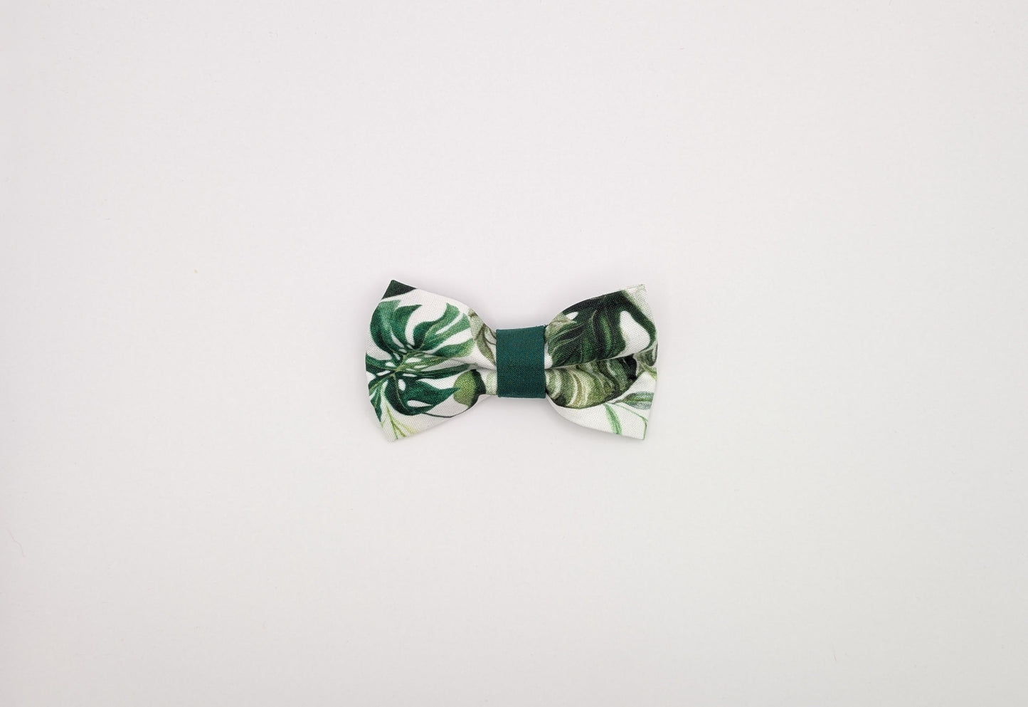 Monstera Bowtie