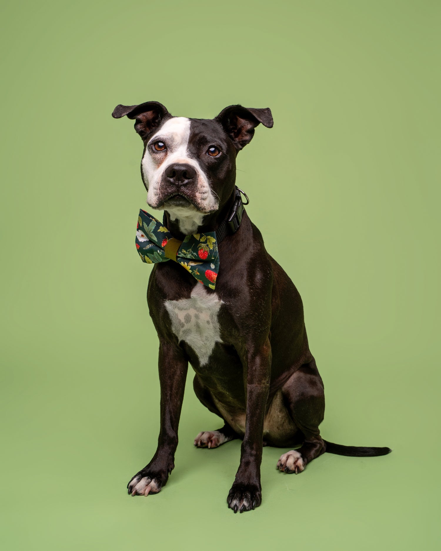 Bowties