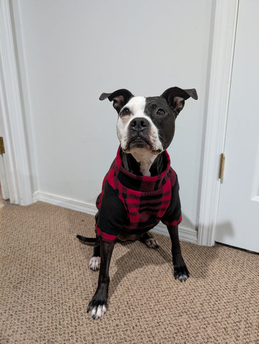 Red Plaid Pet Sweater