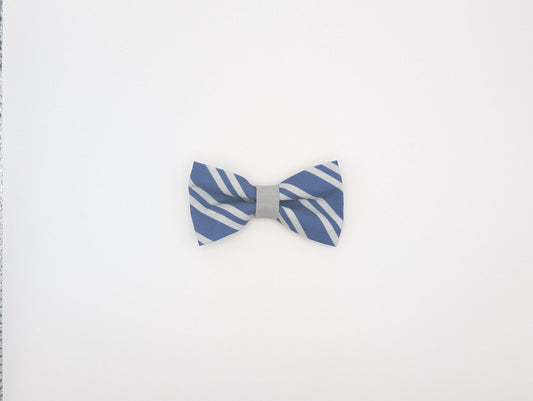 Raven House Bowtie