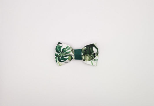 Monstera Bowtie
